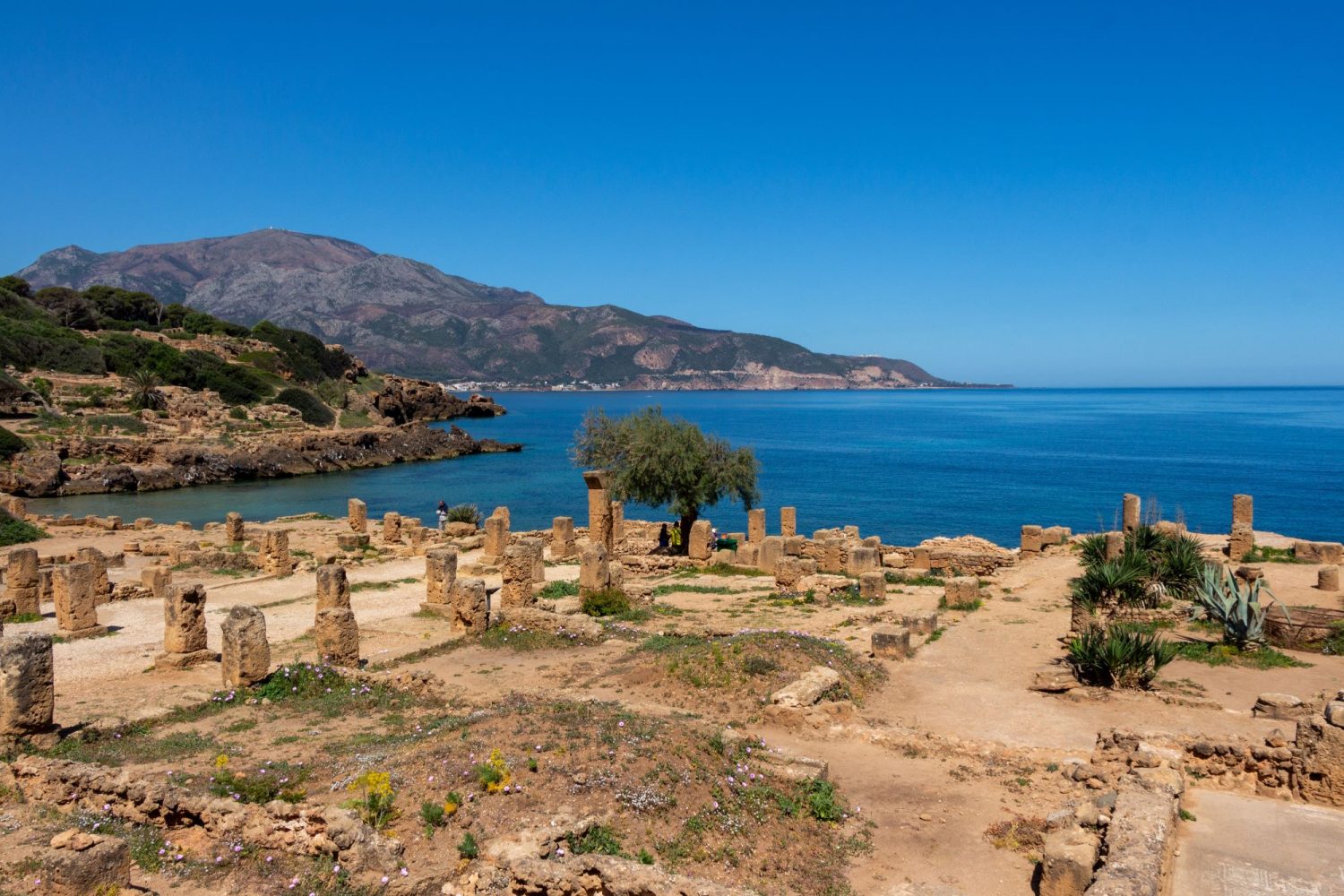 Rimski ostanki Tipasa ali Tipaza in gora Chenoua. Foto: Shutterstock