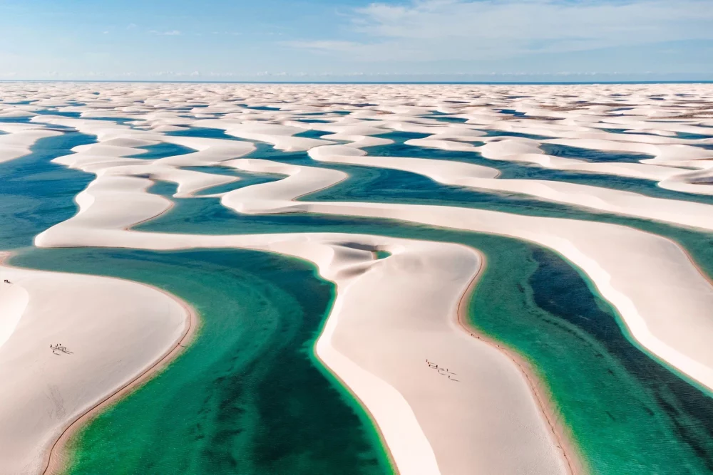 Sipine v narodnem parku Lencois Maranhenses