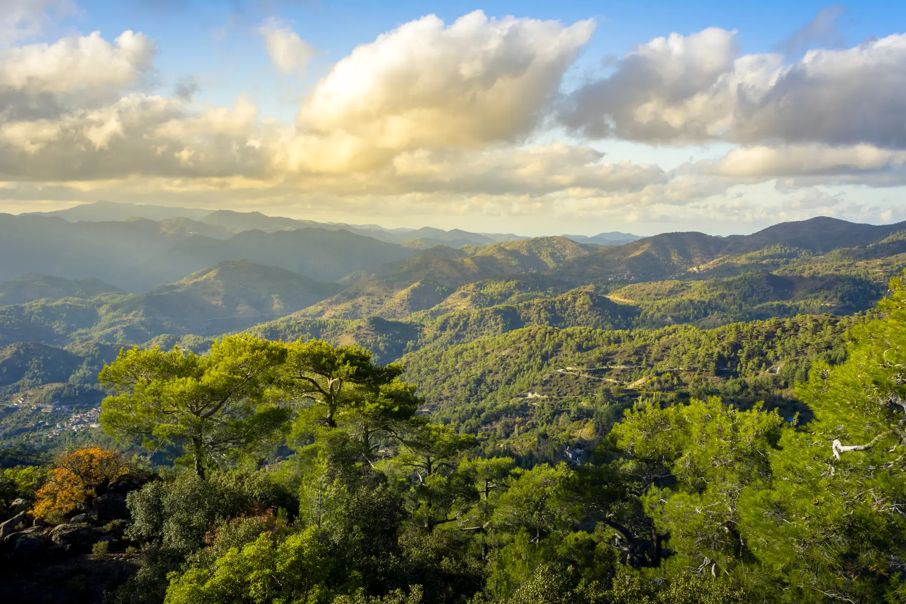 Pogorje Troodos, prepojeno z vonjem borovcev in ceder