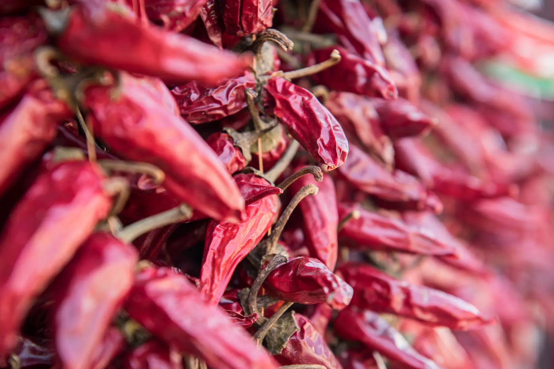 Znamenita madžarska paprika - močan okus, intenzivna barva