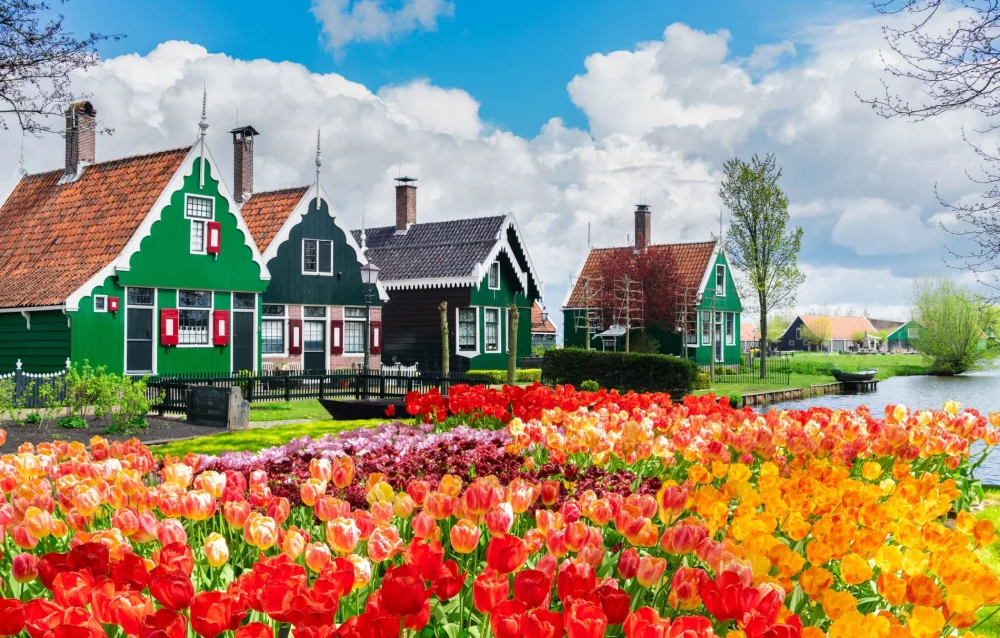 Tradicionalne hiše v kraju Zaanse Schans