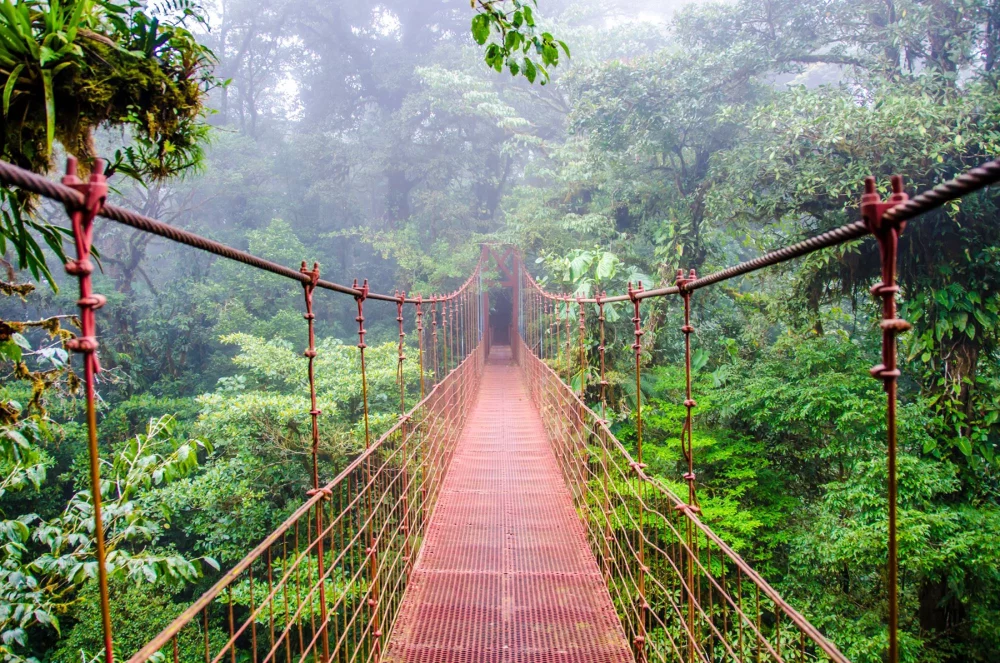 Pragozd Monteverde na Kostariki
