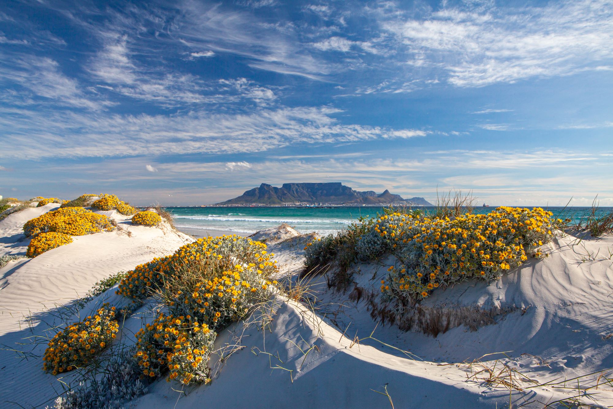 Peščena plaža z razgledom na Mizasto goro, ki se dviga nad mesto Cape Town v Južni Afriki.