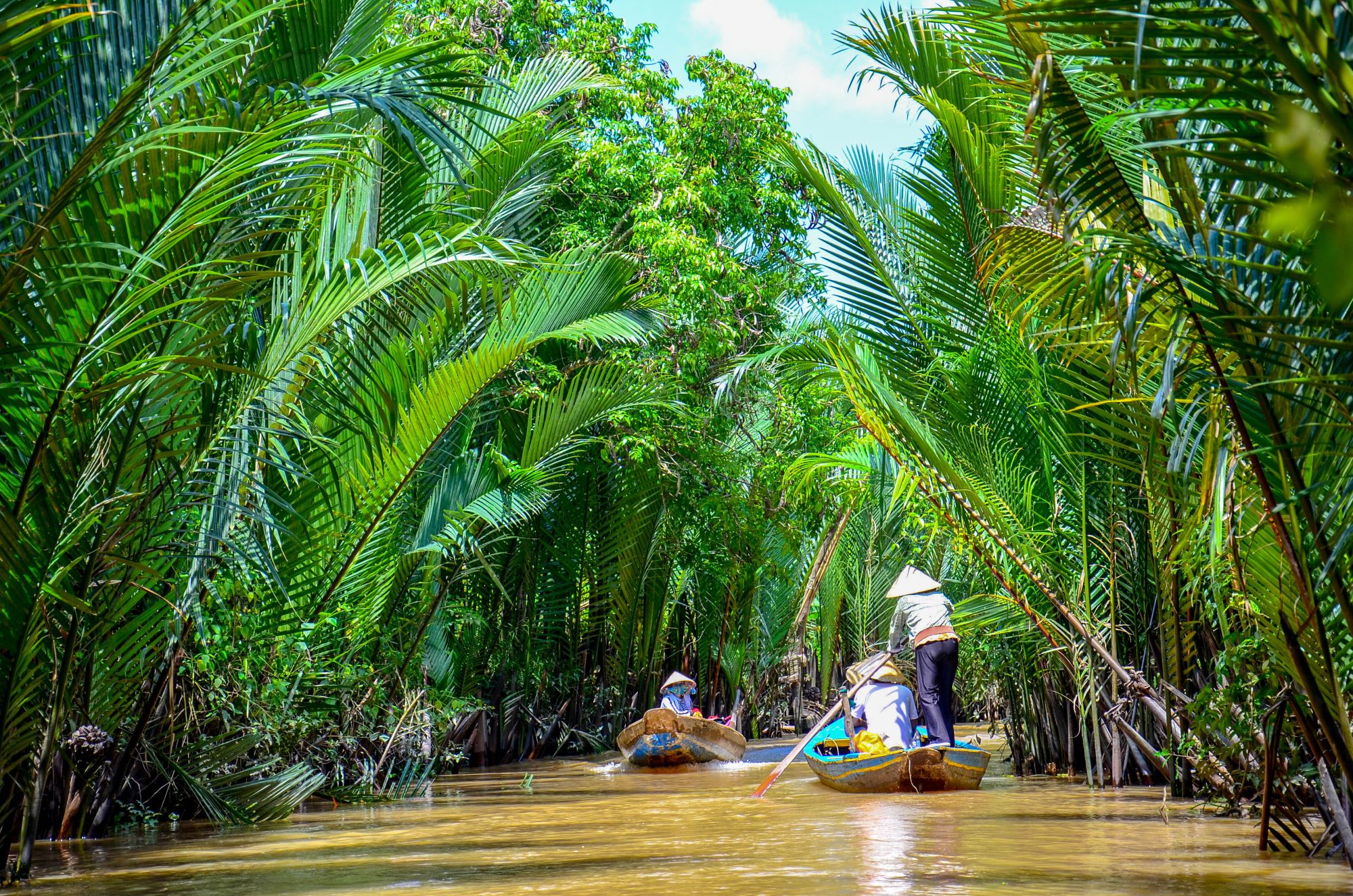 Plovba s čolni sredi gostega rastja po delti reke Mekong v Vietnamu.
