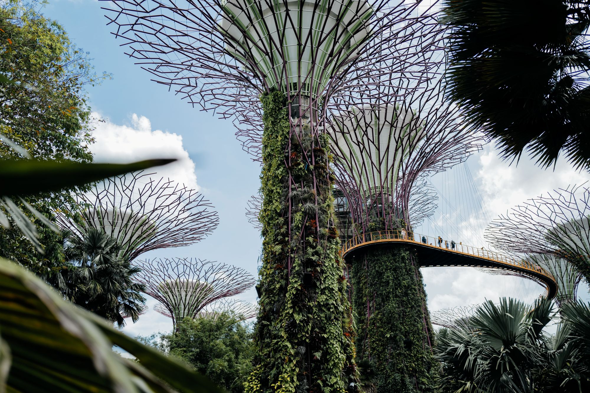 Pogled na Supertree Grove drevesa in OCBC Skywalk.
