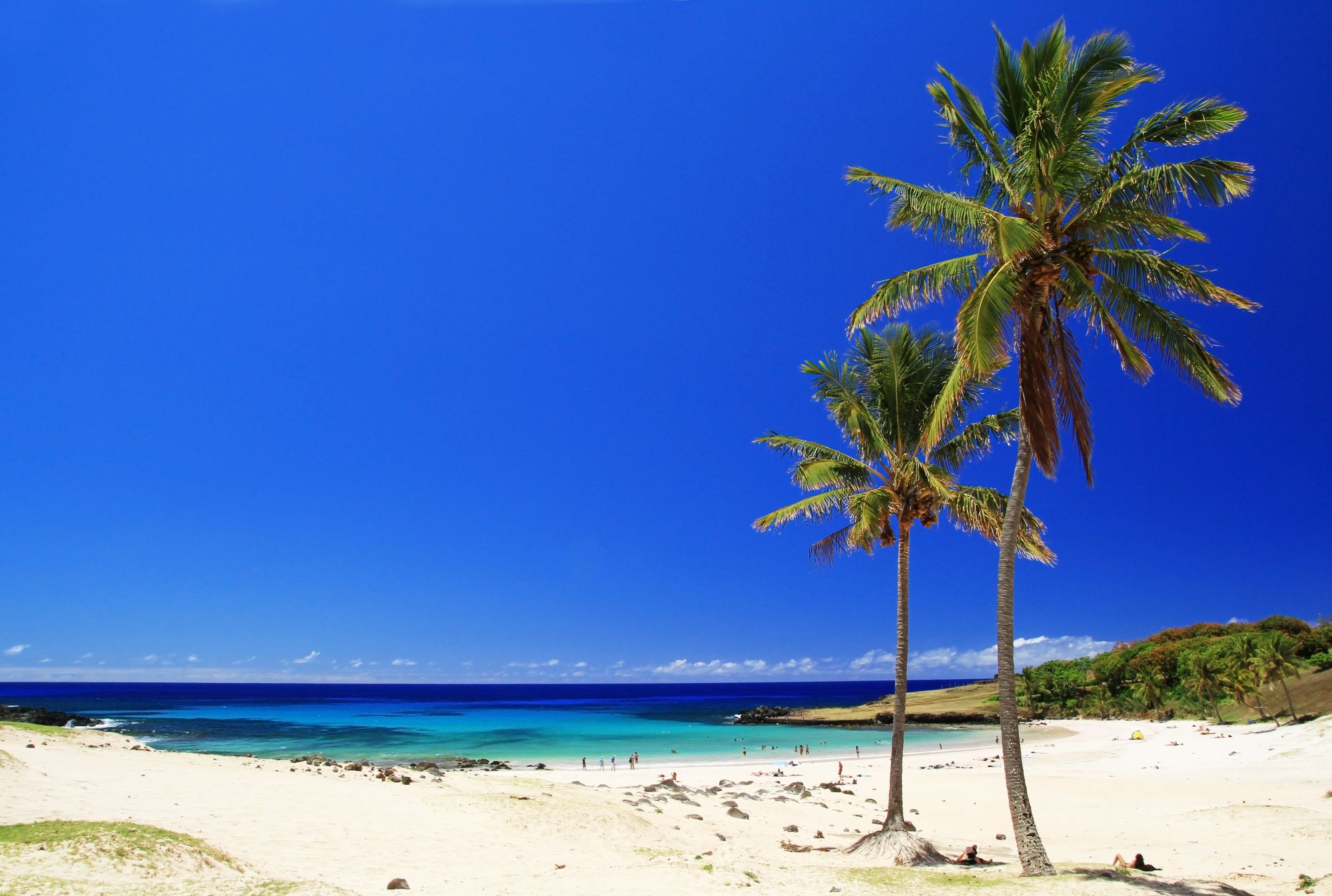 Edina plaža, na kateri se da kopati, Anakena na Velikonočnem otoku z belo mivko, turkiznim morjem in palmami.