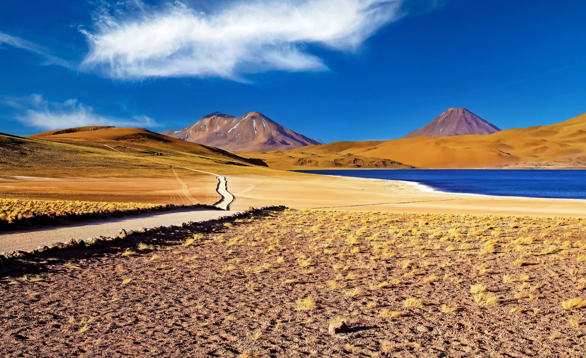 Laguna Miscanti v puščavi Atacama v Čilu.