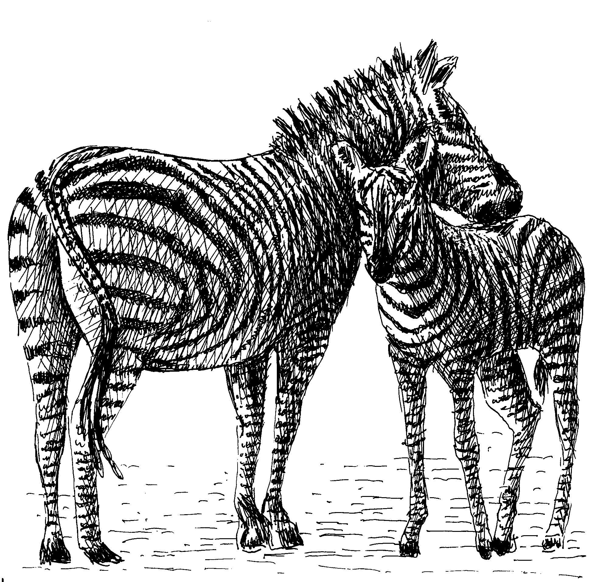 Namibija — slika 20