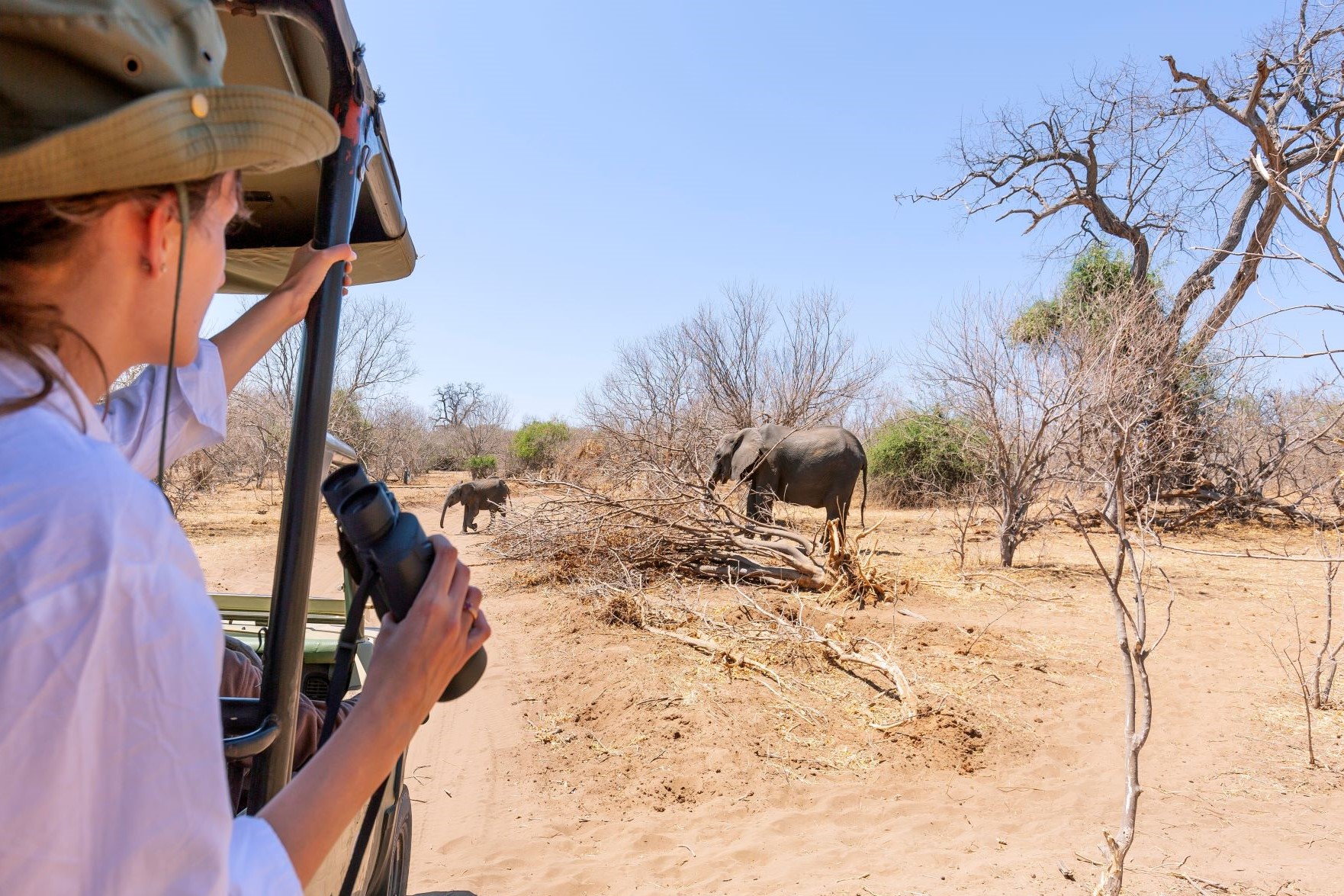 Turistka z daljnogledom iz terenskega vozila opazuje slone v nacionalnem parku Etoša v Namibiji.