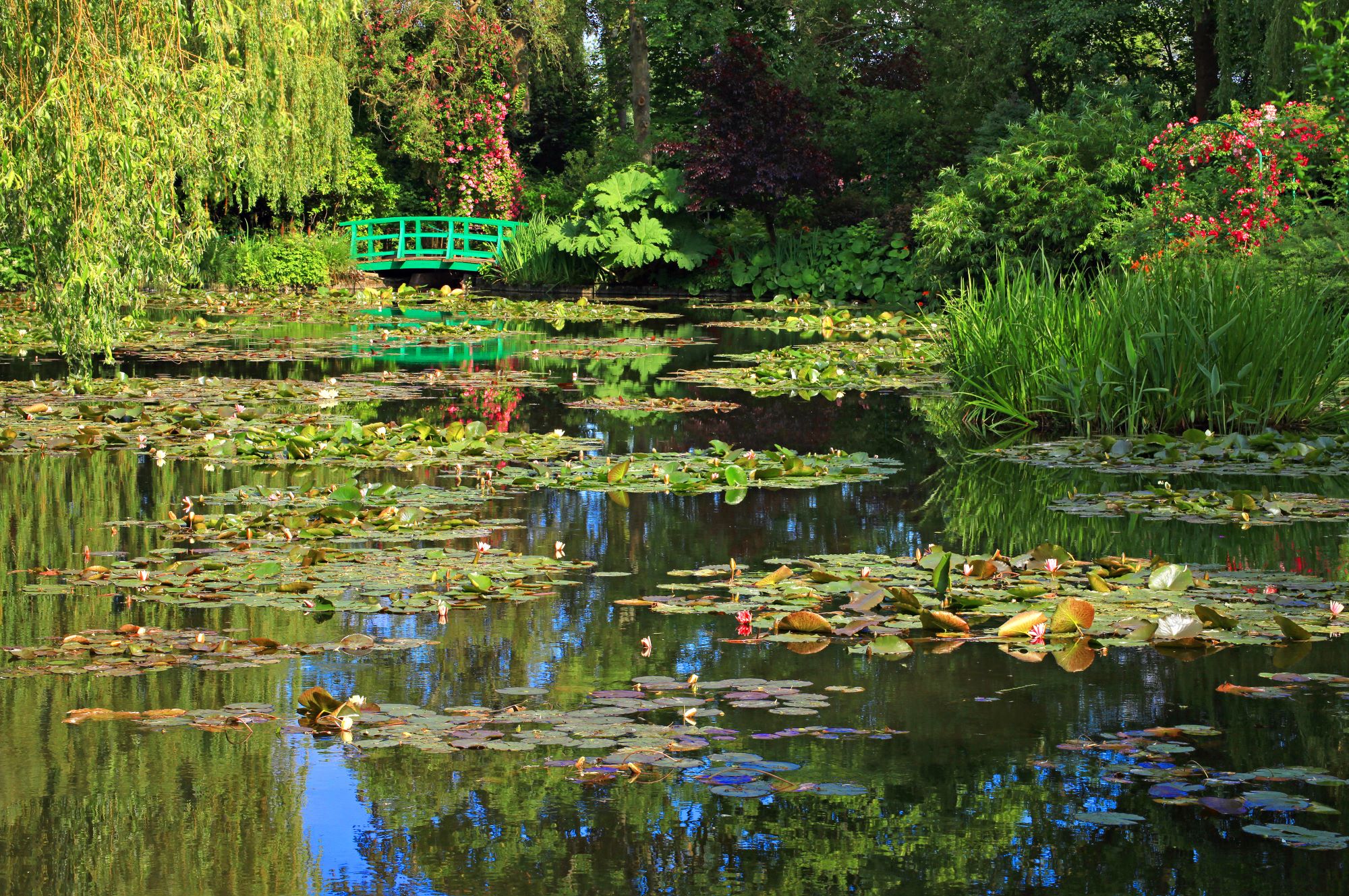 Vrt okoli hiše, kjer je v Givernyju v Franciji dolga leta prebival utemeljitelj impresionizma Claude Monet.