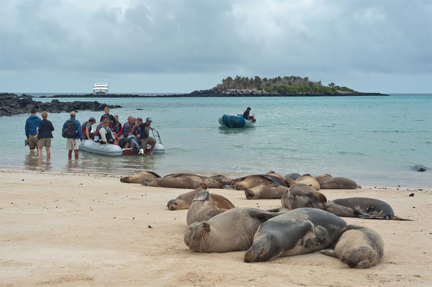 Ekvador in Galapagos