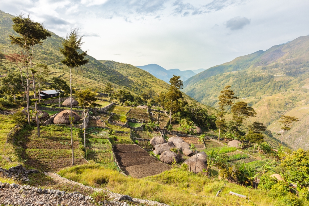 Obdelovalne površine na otoku Papua