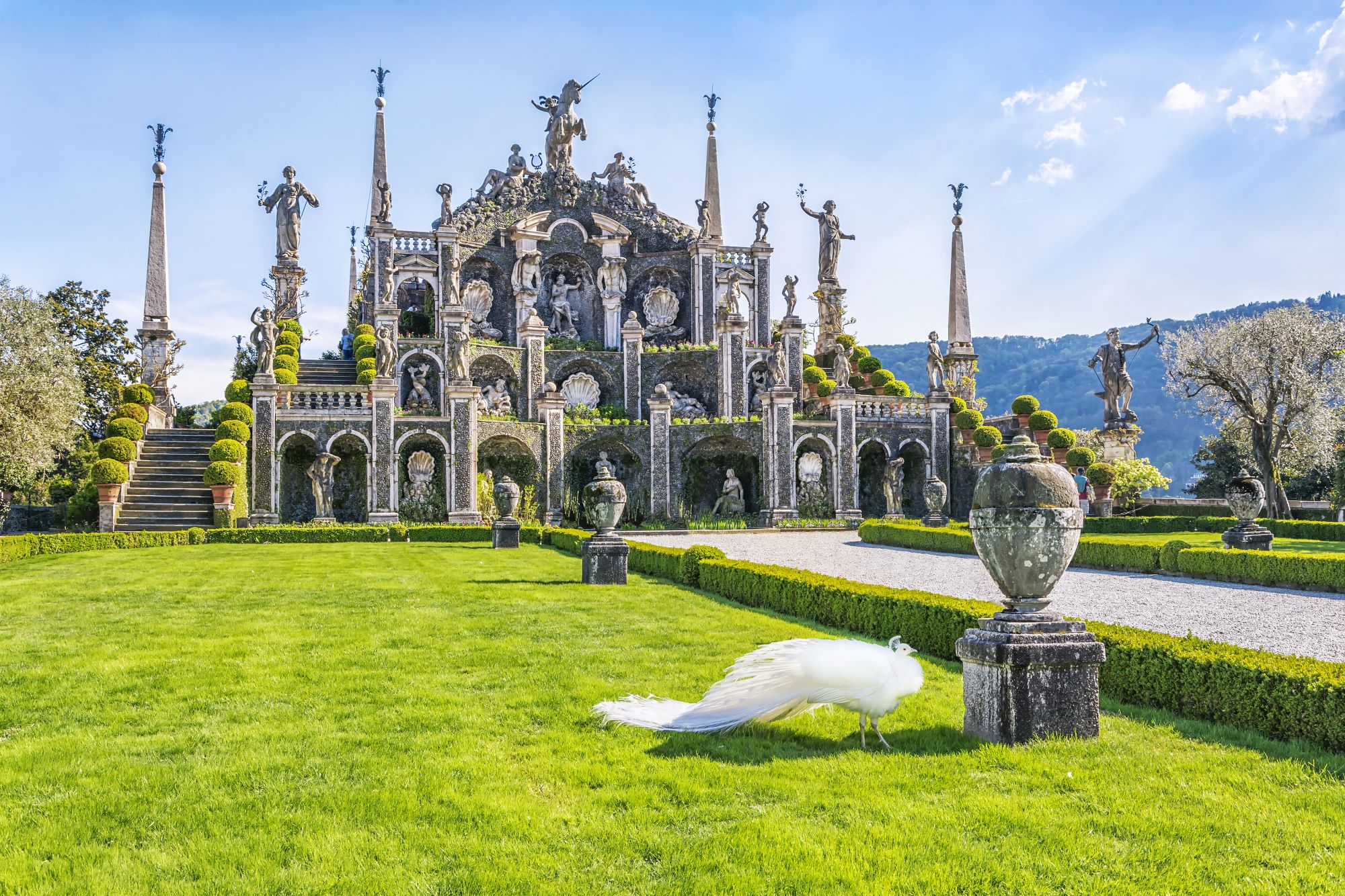 Park na otoku Isola Bella na jezeru Maggiore, ki velja za vrhunec italijanske parkovne ureditve, z belim pavom, ki prebivajo na otoku.