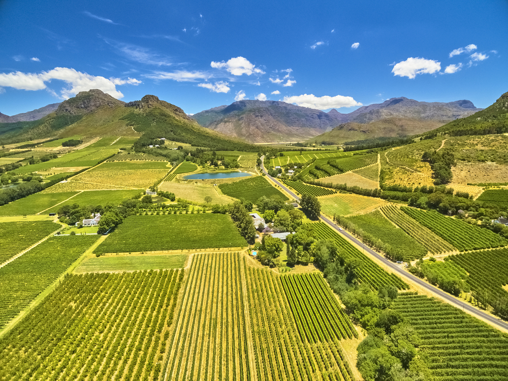 Številni vinogradi v Franschoek v Južni Afriki