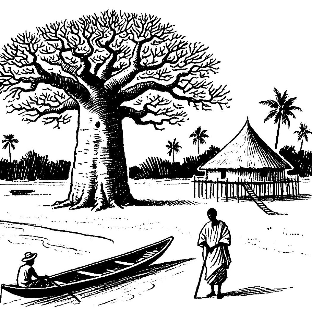 Senegal — slika 24