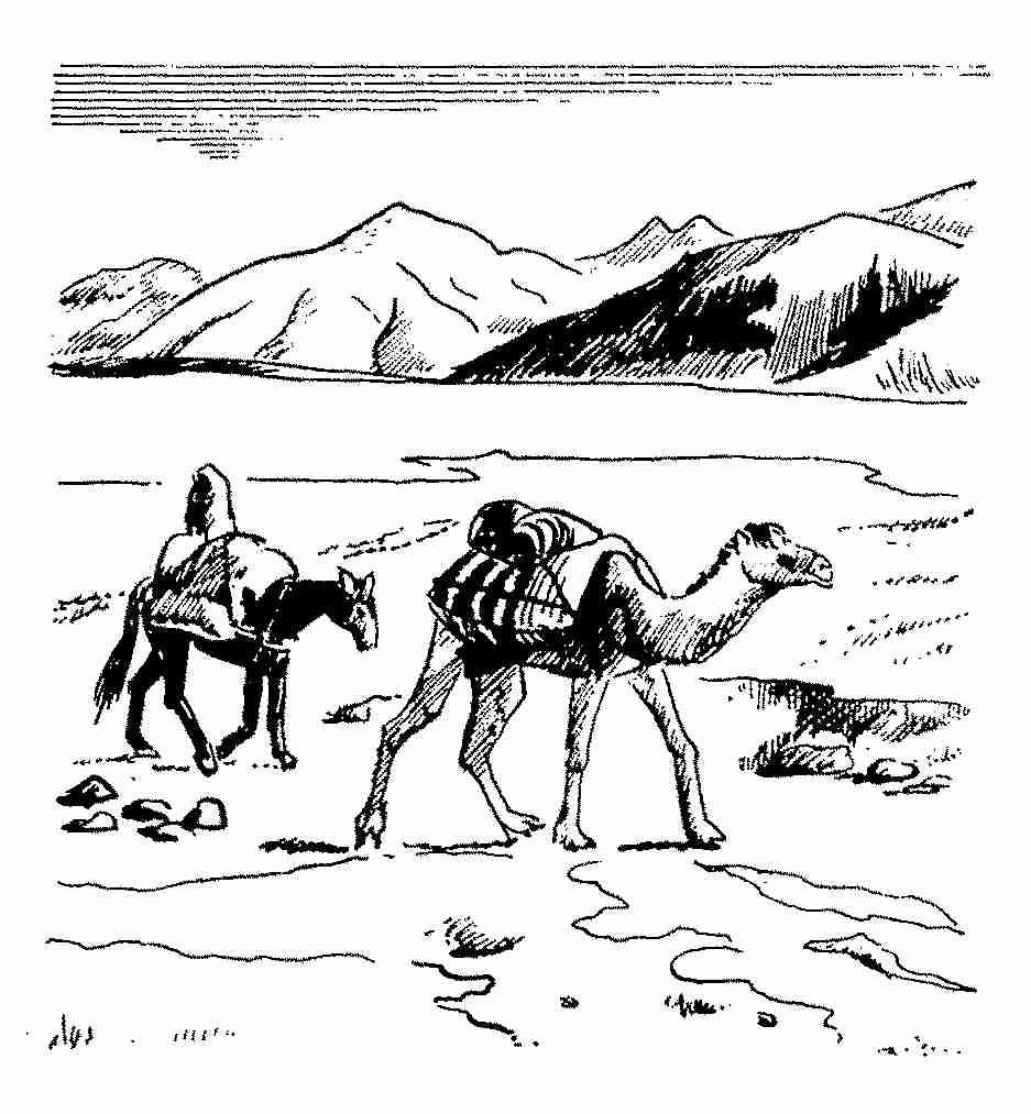 Oman — slika 21