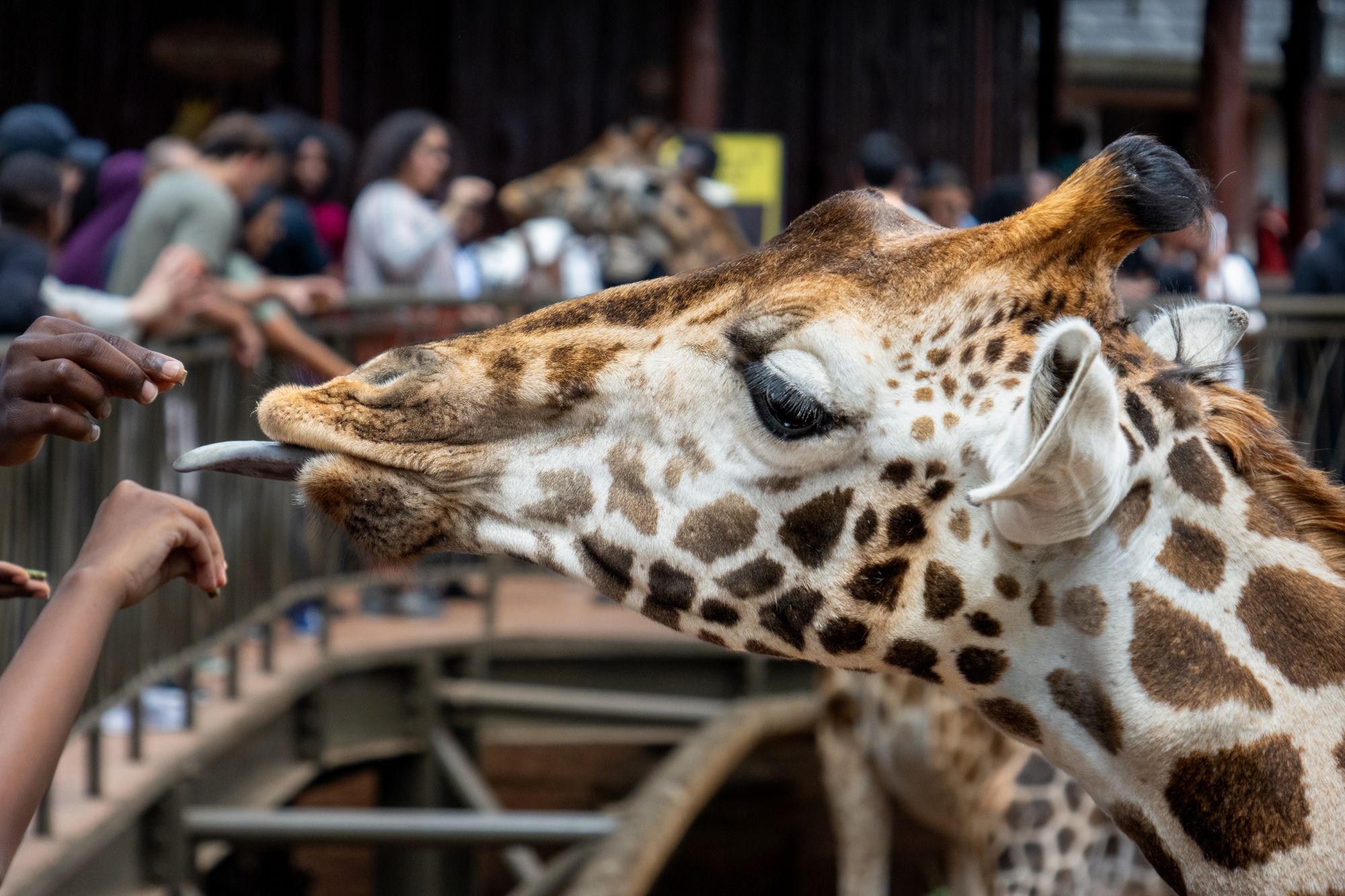 Nairobi