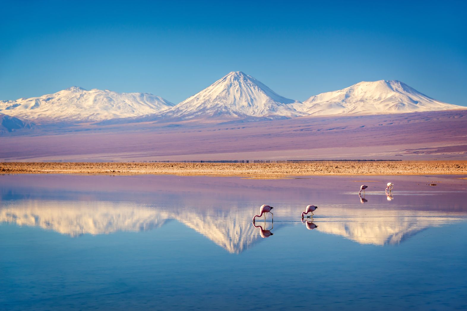 Puščava Atacama