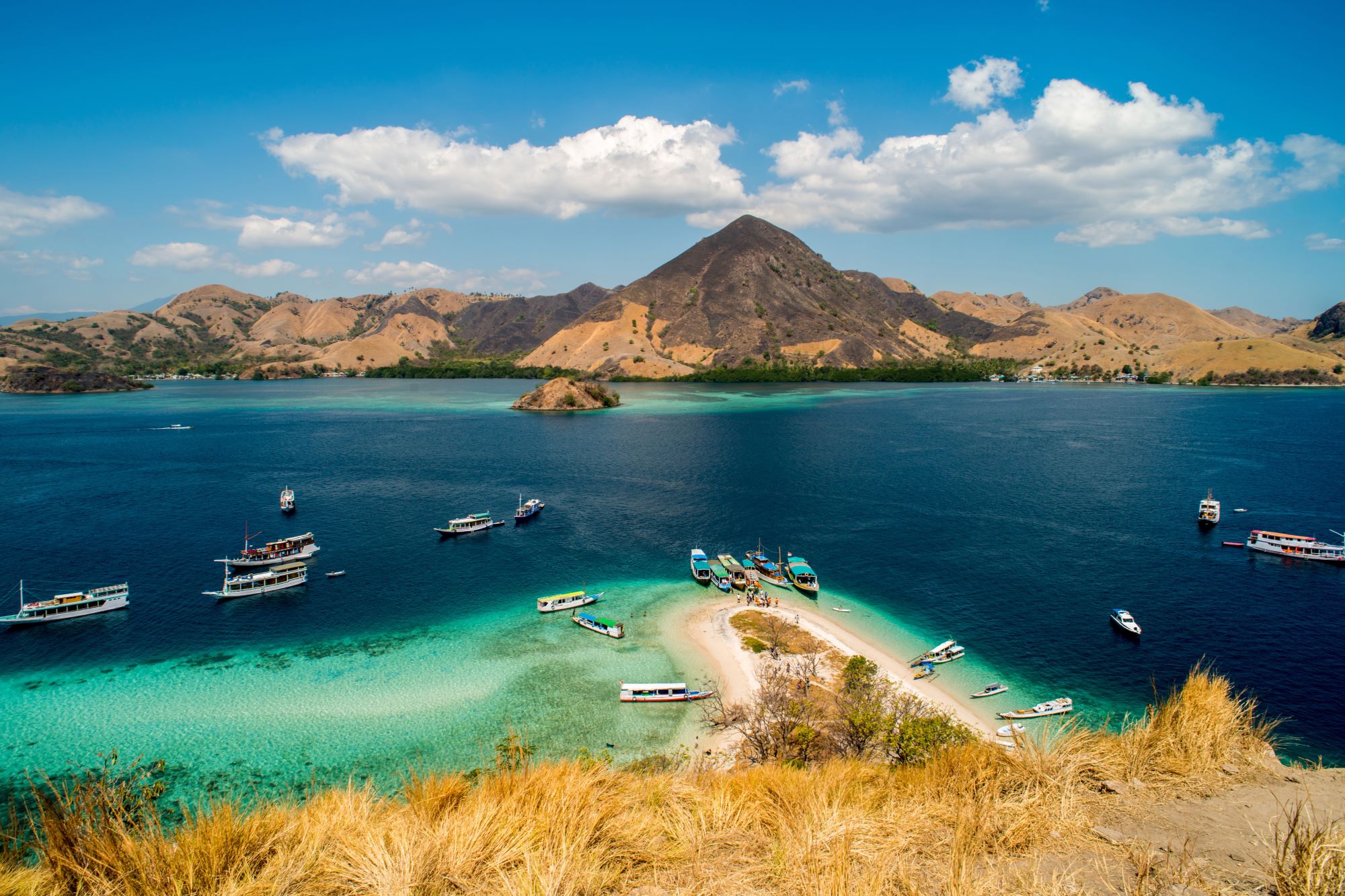 N.P. Komodo