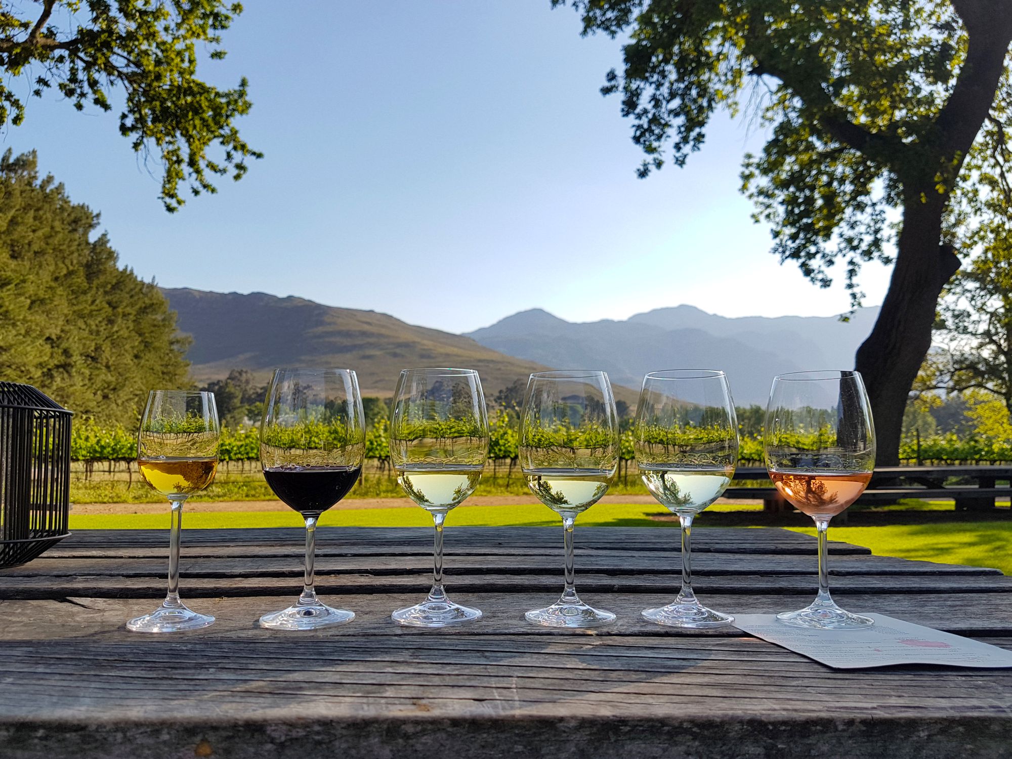 Degustacija vin na prostem z razgledom na vinograde in gore.