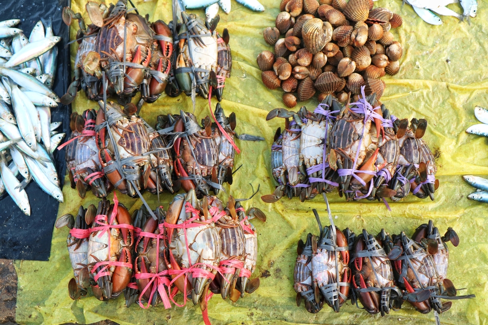 Tradicionalna indonezijska ribja tržnica