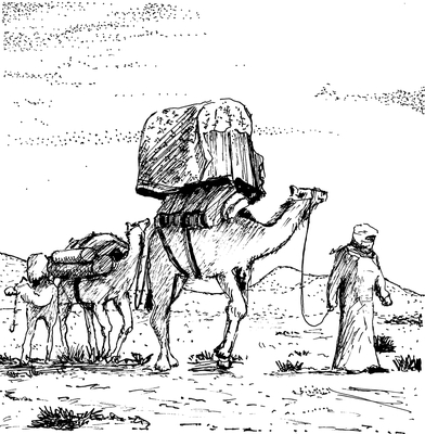 Savdska Arabija — slika 12