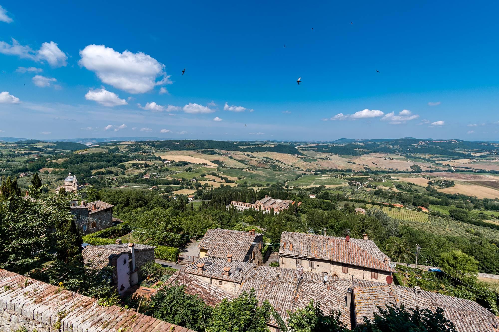 Slikoviti toskanski griči z nasadi oljk v okolici Montepulciana v Italiji.