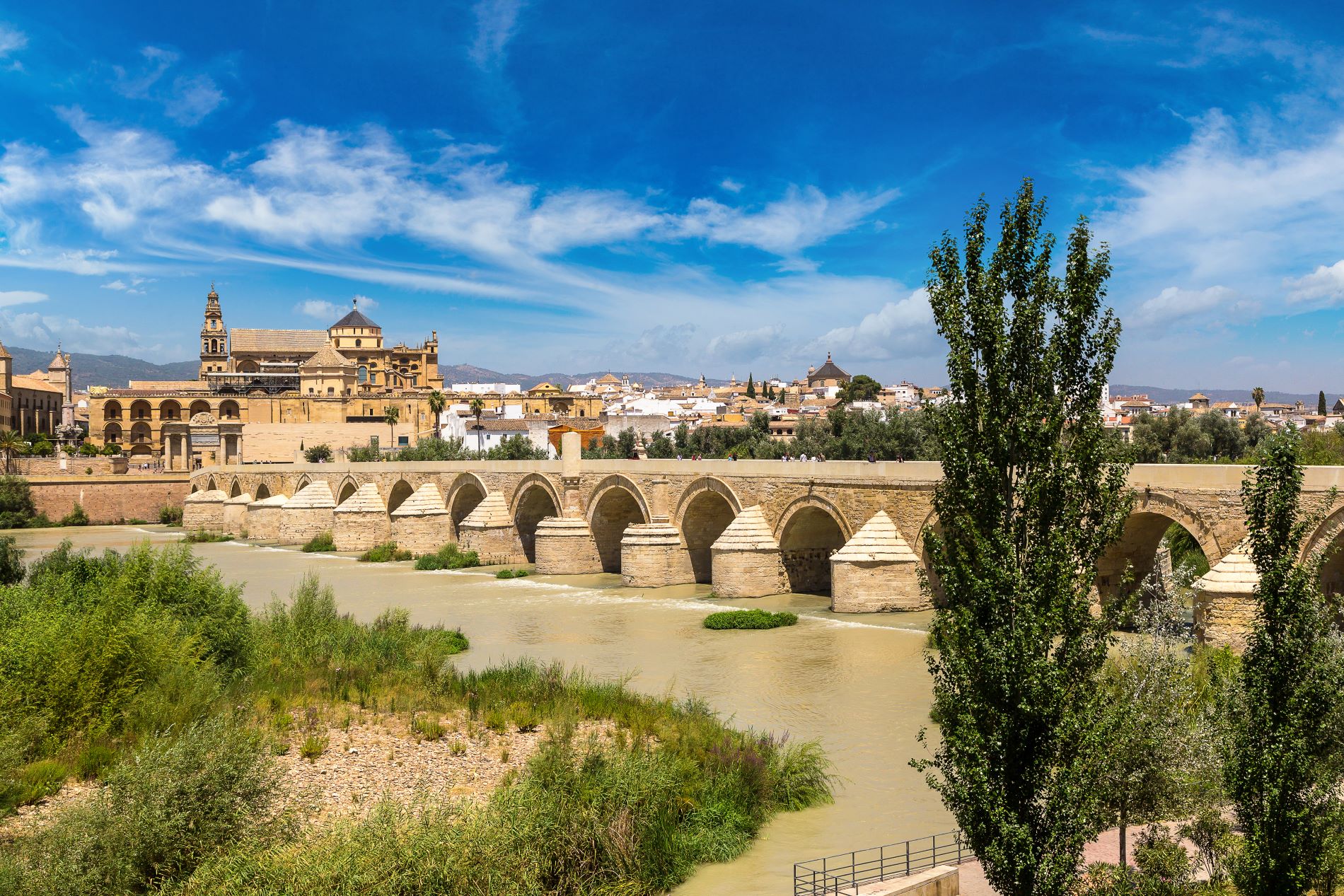 Pogled na Rimski most čez reko Guadalquivir in v ozadju katedrala Mezquita v Cordobi v Španiji.