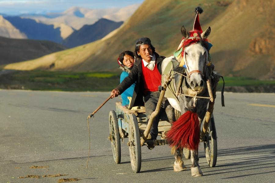 Tibetanska zakonca se s konjsko vprego peljeta po cesti sredi gora v Tibetu.