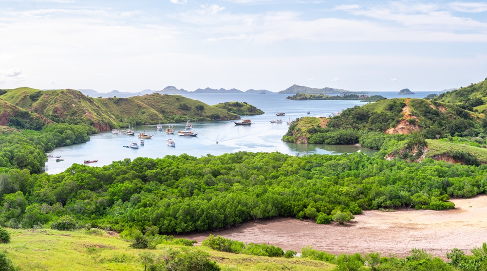 N.P. Komodo