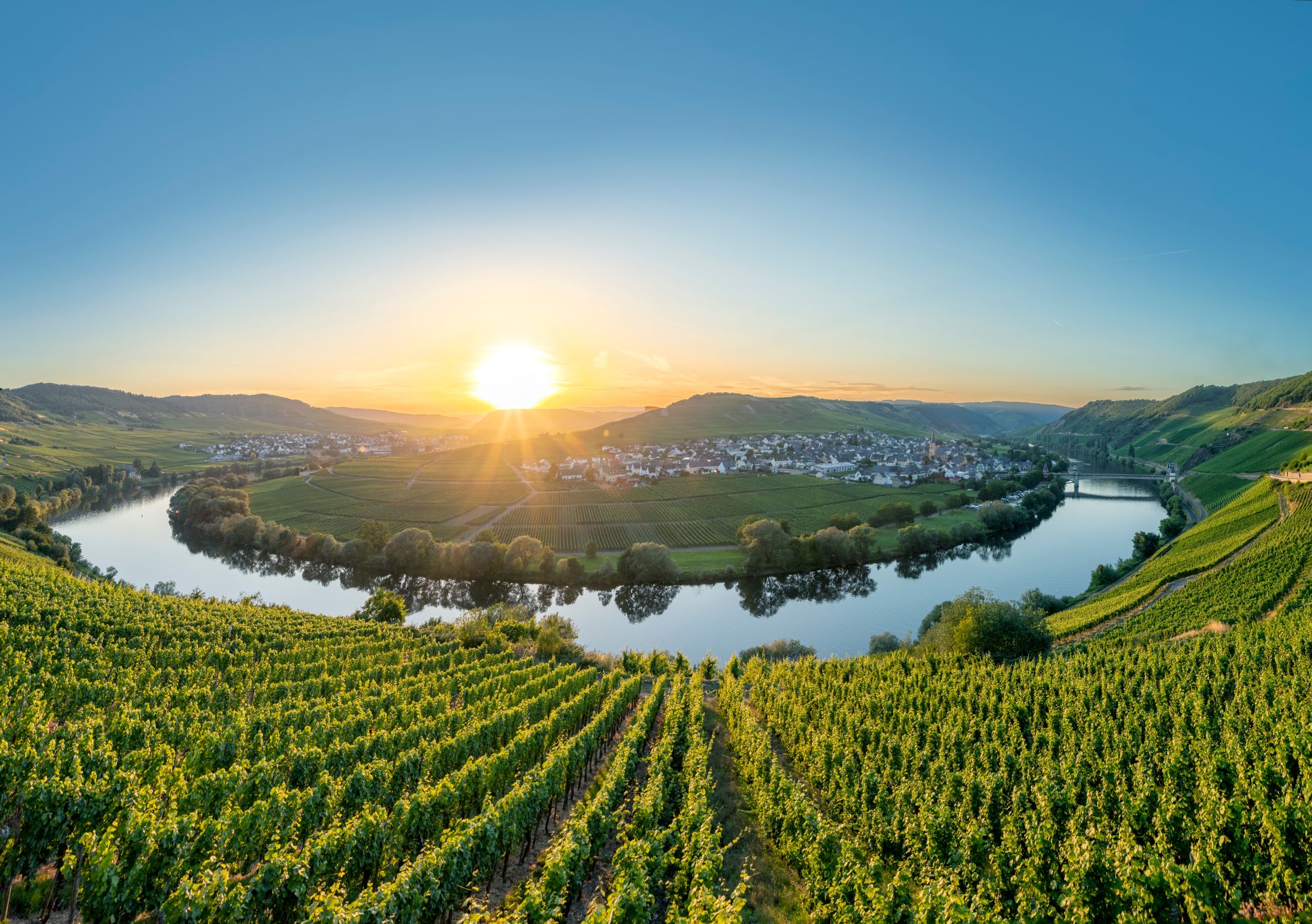 Okljuk reke Mozele v Nemčiji ob sončnem zahodu in z vinogradi posejana gričevnata pokrajina.