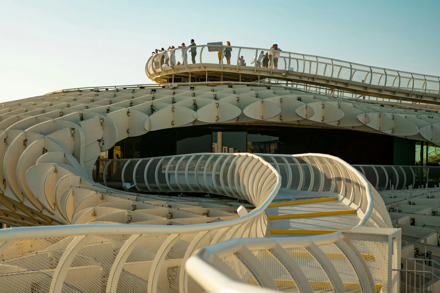 Setas de Sevilla ali Seviljske gobe