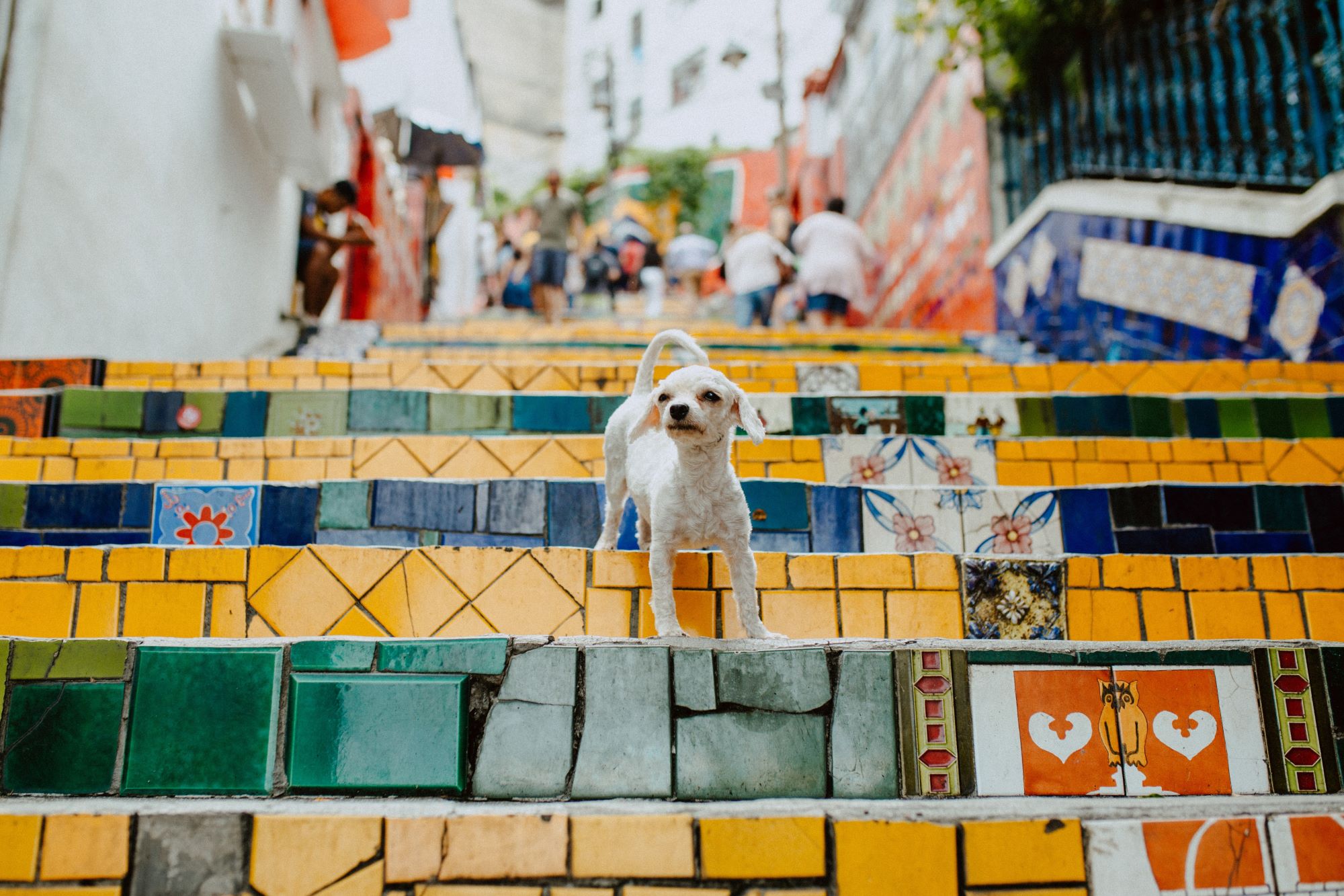Rio de Janeiro potovanje nas popelje tudi po starem centru mesta