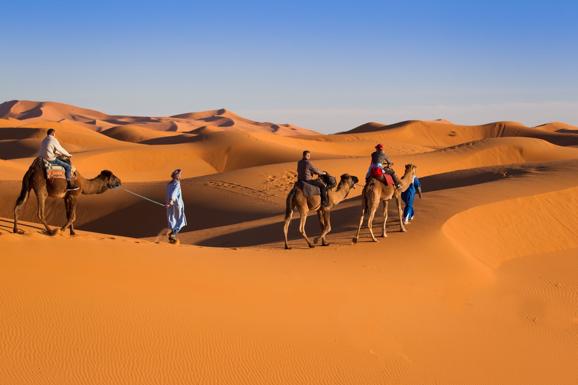 Skupina turistov jaha kamele na visokih sipinah puščave Sahara v Maroku.
