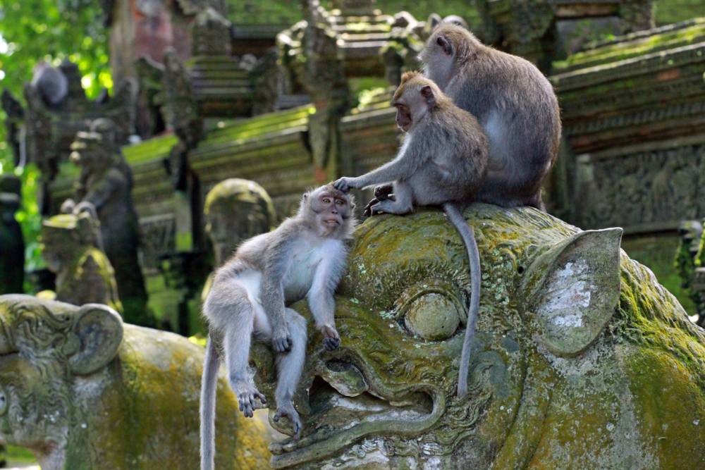 Ubud