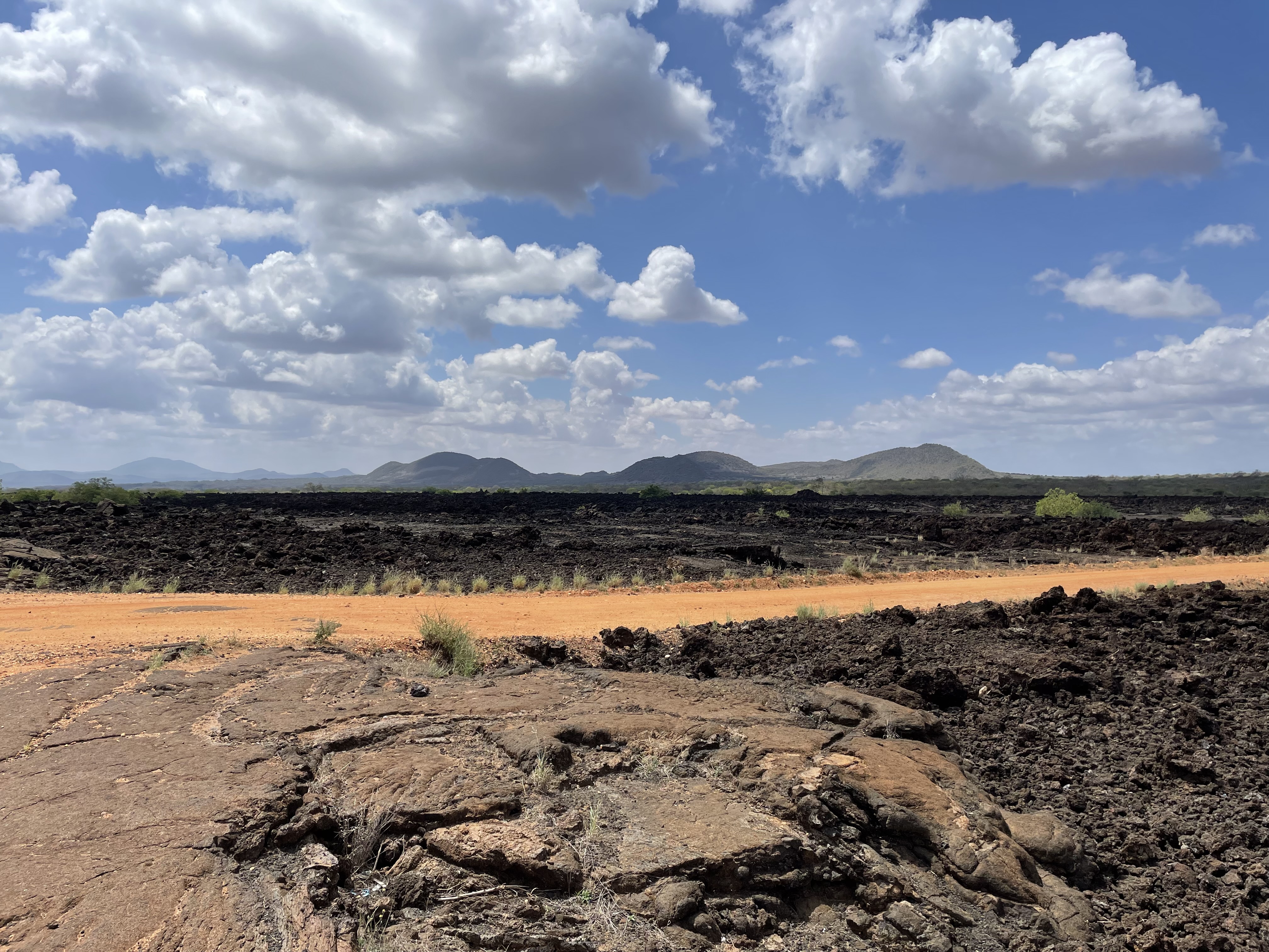 Zahodni Tsavo