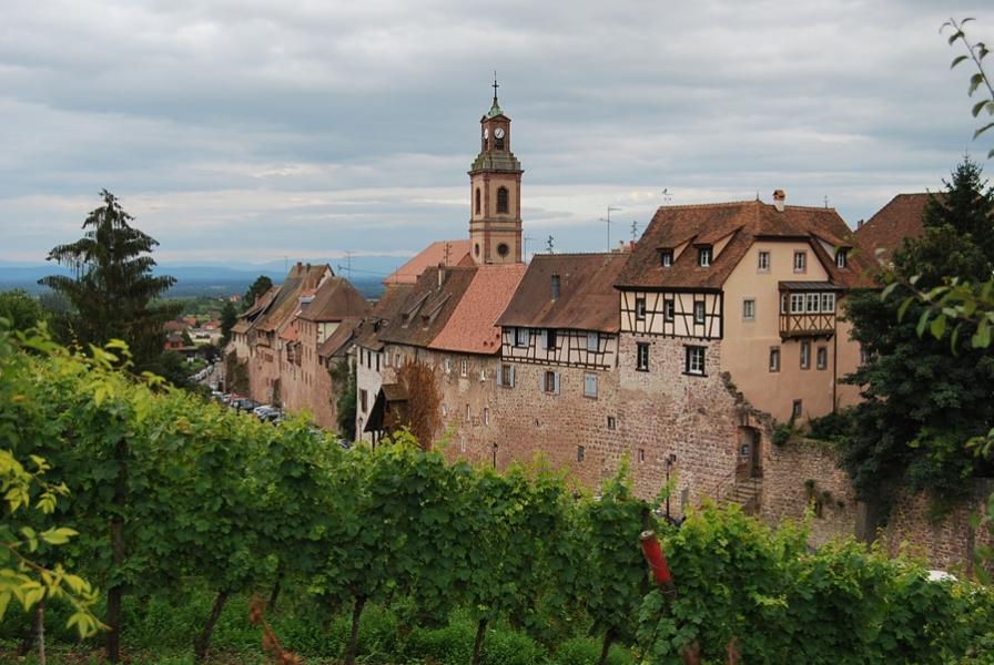 Pogled na Riquewihr v Alzaciji in značilne predalčaste zgradbe z vinogradov, ki kraj obdajajo.
