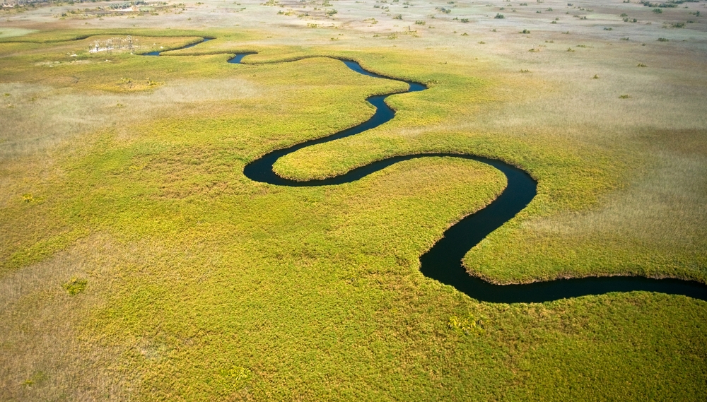 Pogled iz zraka na zeleno pokrajino, po kateri teče reka Okavango