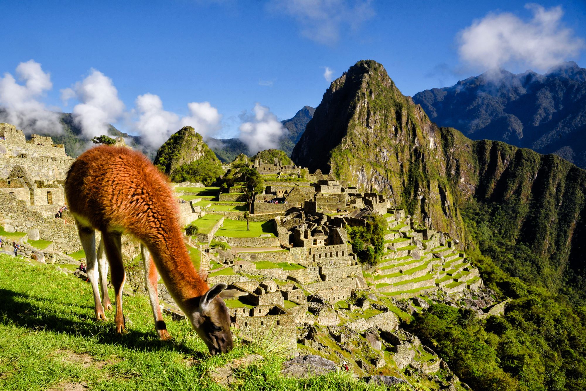 Peru