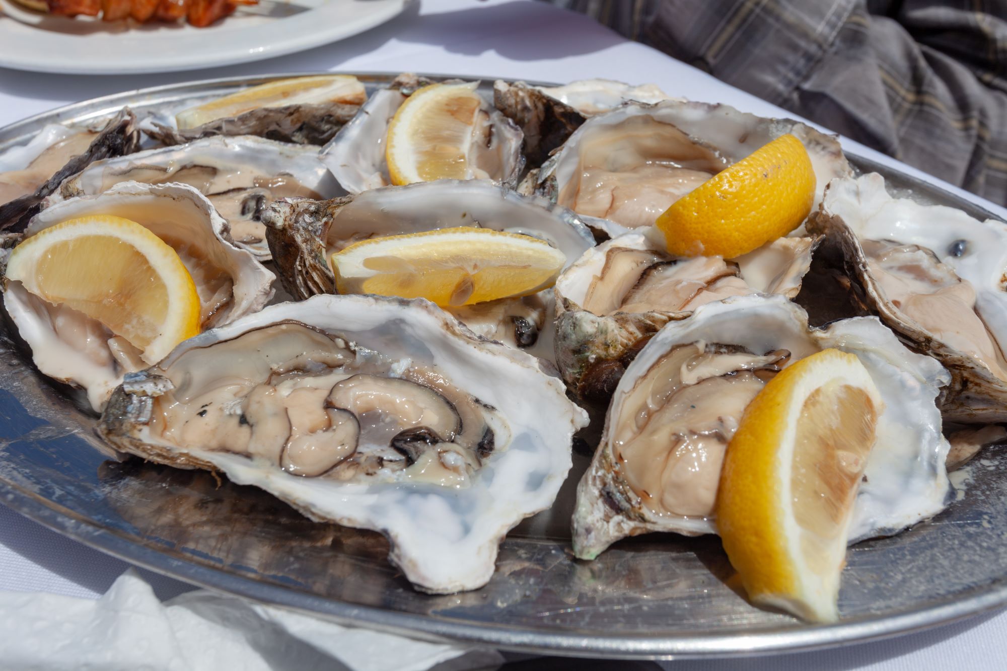 Krožnik s školjkami ostrigami, postreženimi z rezinami limone na križarjenju ob Walvis Bayju v Namibiji.