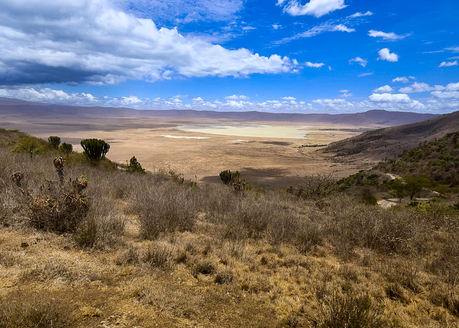 Panoramski pogled na zavarovano območje kraterja Ngorongoro v veliki vulkanski kalderi.