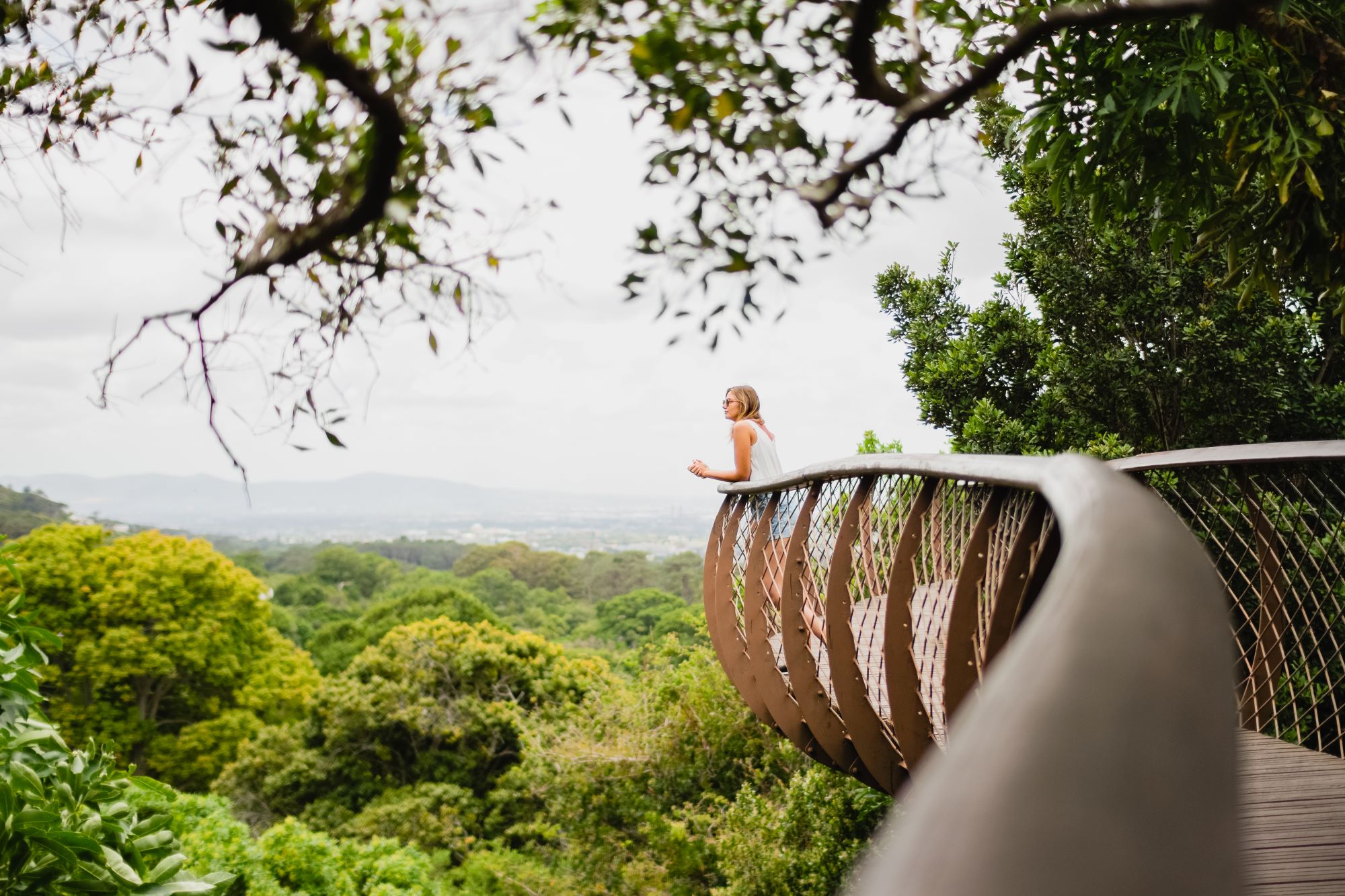 Turistka opazuje bujno naravo na razglednem mostu v Botaničnem vrtu Kirstenbosch v Cape Townu v Južni Afriki.