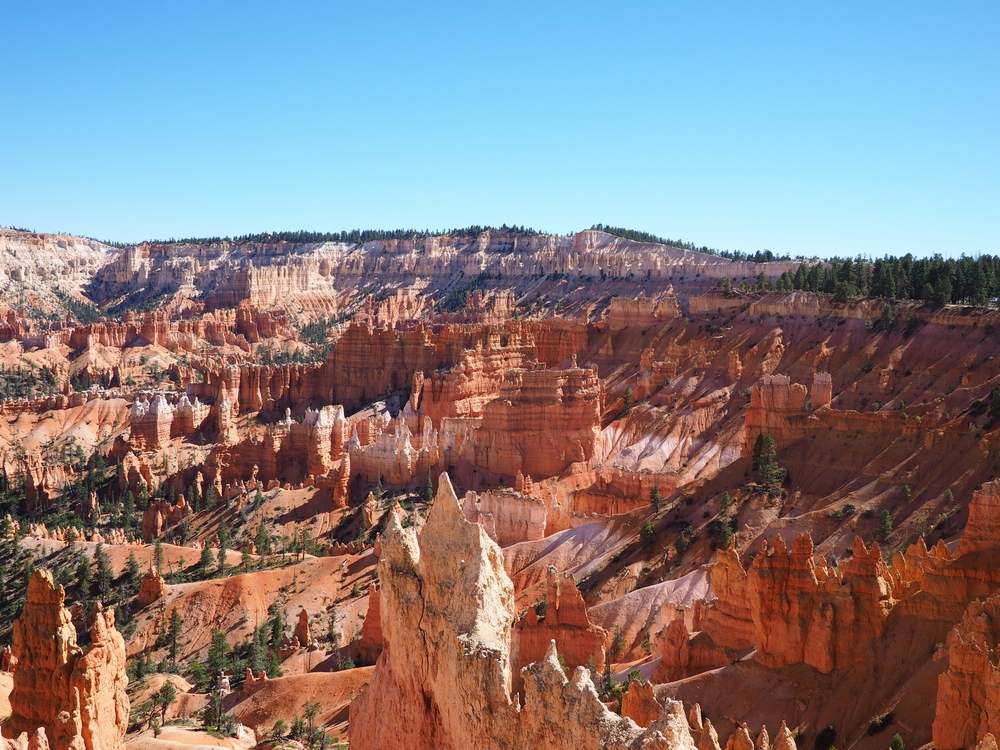 Panorama amfiteatra v Bryce Canyon nacionalnem parku.
