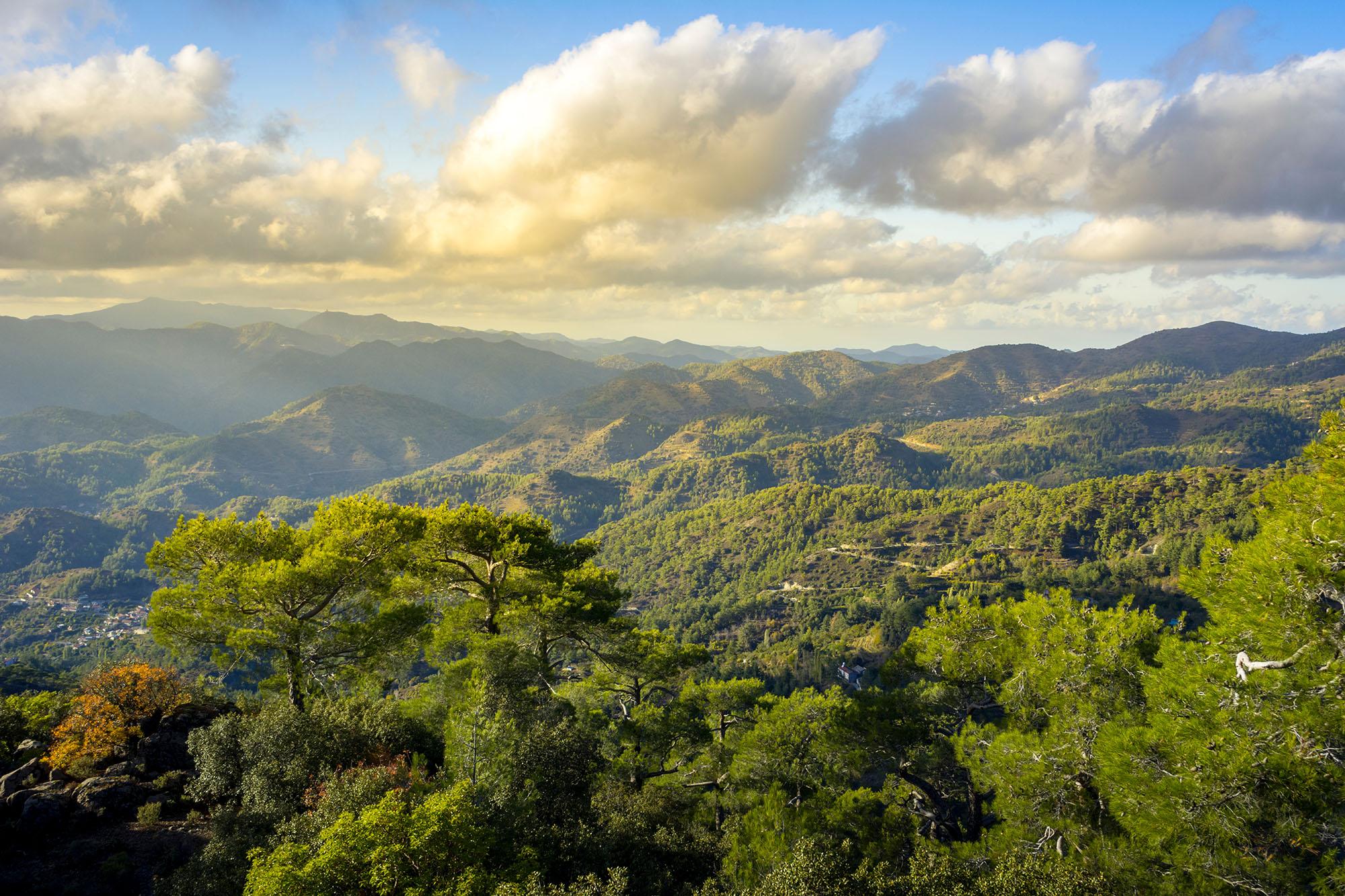 Slikovito zeleno pogorje Troodos na Cipru, poraščeno z borovci in cedrami ter polno nasadov sadnega drevja in vinske trte.
