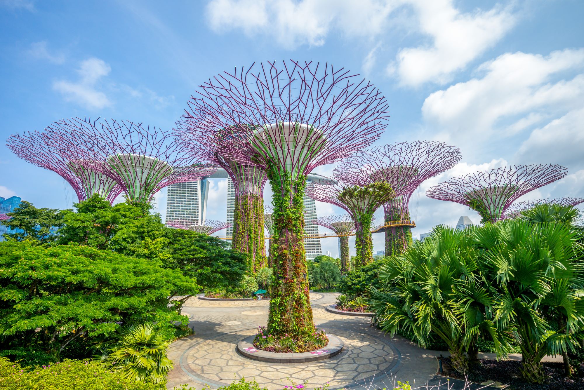 Singapur (SBC) — slika 23
