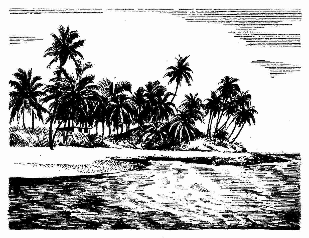 Šrilanka in Maldivi — slika 24