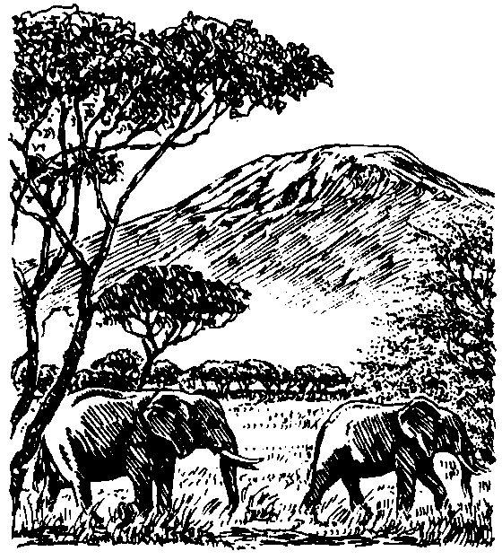 Kenija in Tanzanija