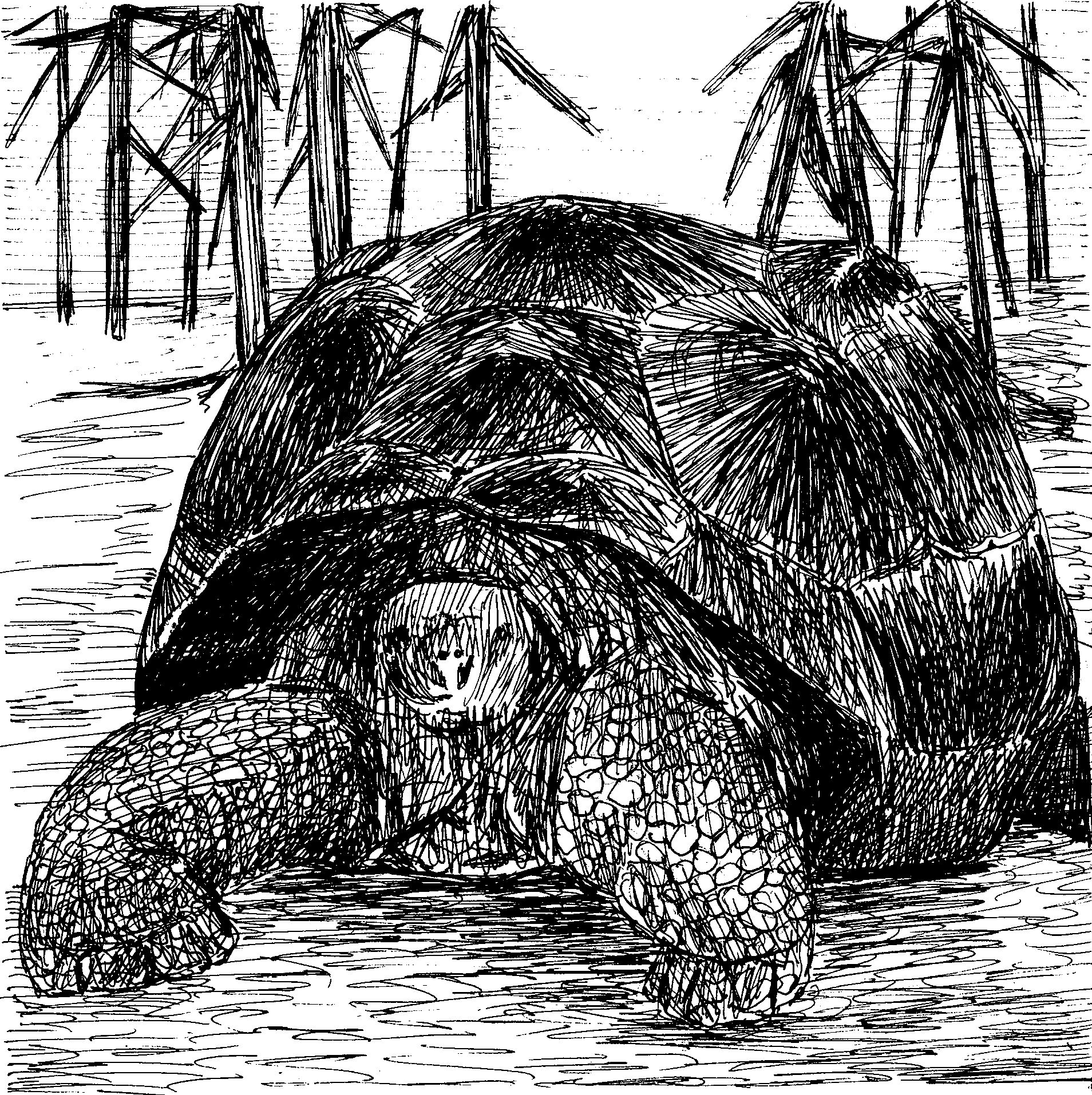 Novoletni Ekvador, Kolumbija in Galapagos